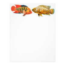 Monster Cichlids Fish Letterhead