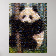 Montage d'ours panda posters