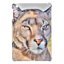 Montagne Lion.tif