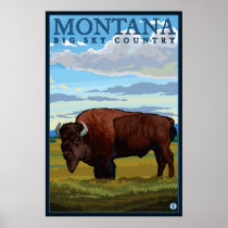 Montana - Bison