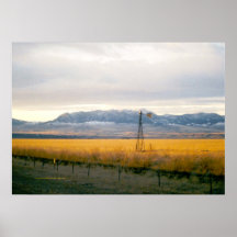 Montana Field Print