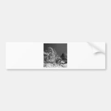 Montana Lake Tree Bumper Stickers