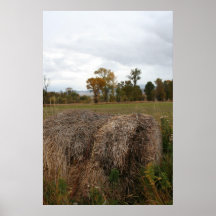 Montana Round Hay Bale Print