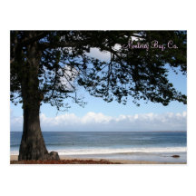 Monterey Bay, Ca. Postcard