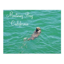 Monterey Bay Sea Otter Postcard