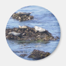 Monterey, CA Refrigerator Magnets
