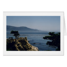 Monterey, California Greeting Card
