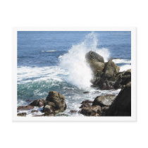Monterey Post Cards