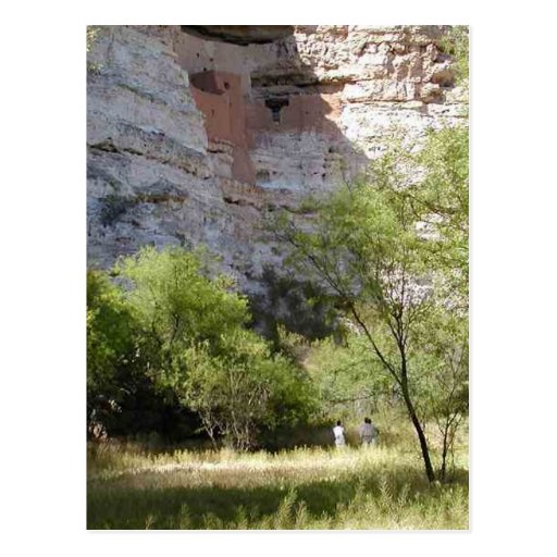 Montezuma Castle Cliff Indian Grass Trees Postcards