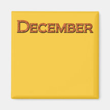 Months of the Year Teaching or Memory Aid Magnet