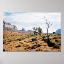 Monument Valley, Arizona 9 Print