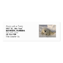 Moo Cowzher Co. Business Card