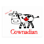 Moo, Eh Postcard