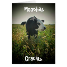 Moochas Gracias Greeting Cards