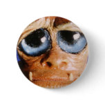 moody blue pin