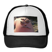 Moody Mesh Hat