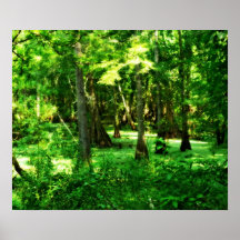 Moody Swamp Poster