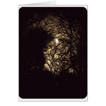 Moon Glow Greeting Card