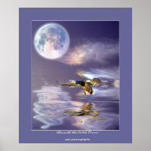 Moon & Landing Duck Wildlife Fantasy Art Poster