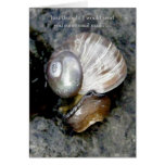 Moon Mollusk on a Rock cards