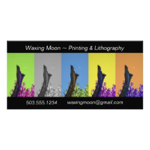 Moon Over Burnt Tree Rising_multi-hue sequence Photo Cards