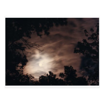 Moon over Charleston Postcard