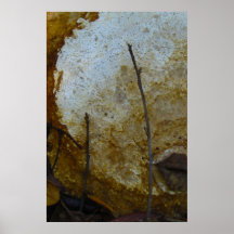 Moon Over the Birdbath Print