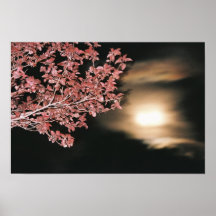 moon posters