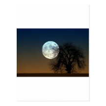 Moon Rise Postcard