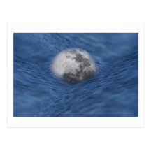 Moon River Postcard