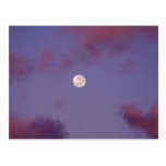Moon Sunrise Post Cards