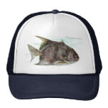Moonfish Casquette