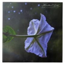 Moonflower Carreau En Céramique