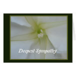 Moonflower White Flower Sympathy Card