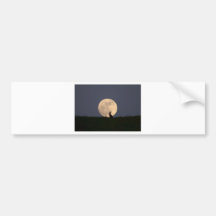 Moongazer.JPG Bumper Stickers