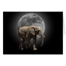 MOONGLOW ELEPHANT GREETING CARDS