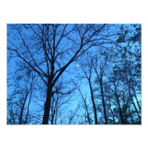 Moonlight Photograph