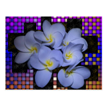 Moonlight Stardus Plumeria tWeave Postcard