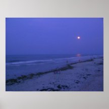 moonlit beach posters
