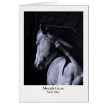 Moonlit Grace Greeting Cards