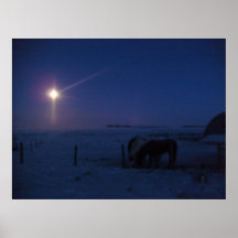 Moonlit Horses Poster