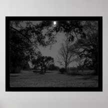 Moonlit Night Poster
