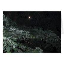 Moonlit Trees Card