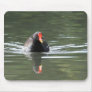 Moorhen and Reflection Mousepad