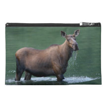 moose and emerald water travel accessories bag