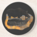 moose and reflections beverage coaster