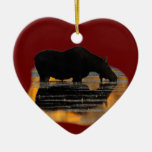 moose and reflections christmas ornament
