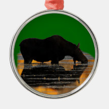 moose and reflections ornament