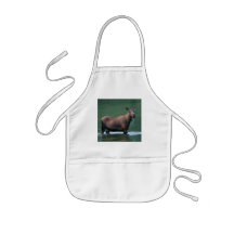 moose aprons