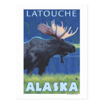 Moose at Night - Latouche, Alaska Postcard